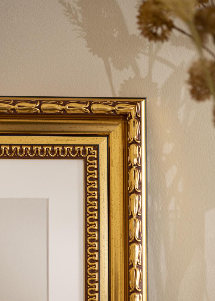 Rāmis Birka Premium Zelta 70x70 cm