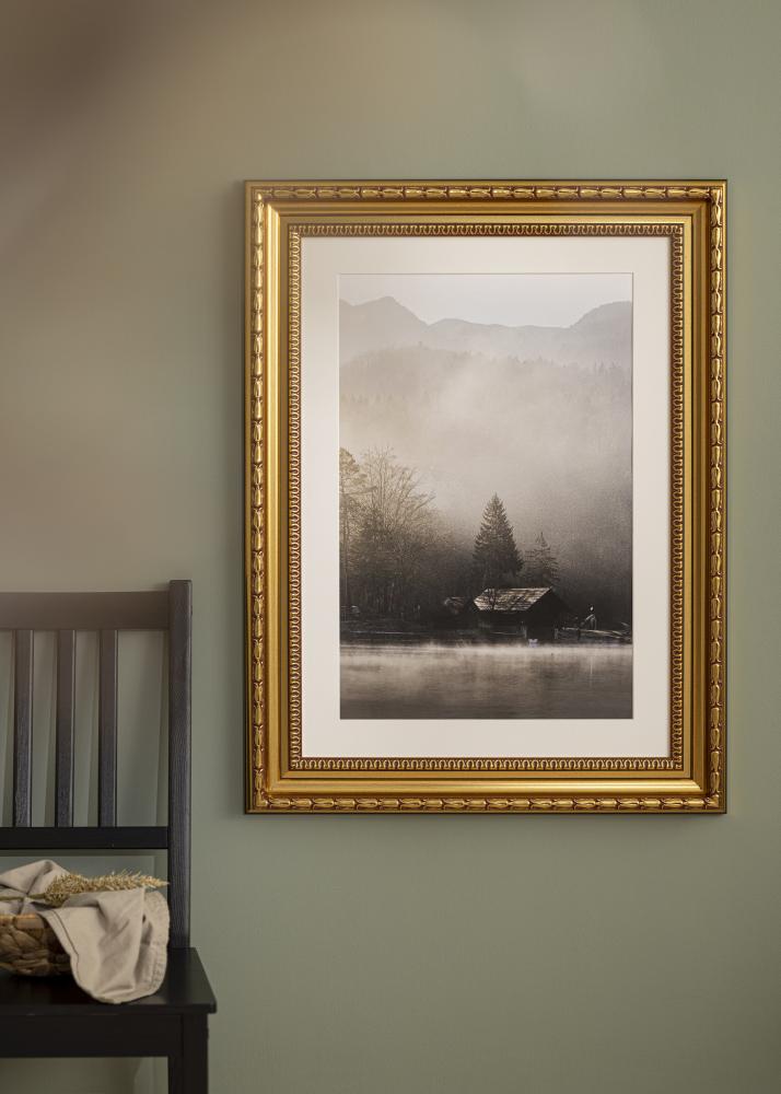 Rāmis Birka Premium Zelta 70x70 cm