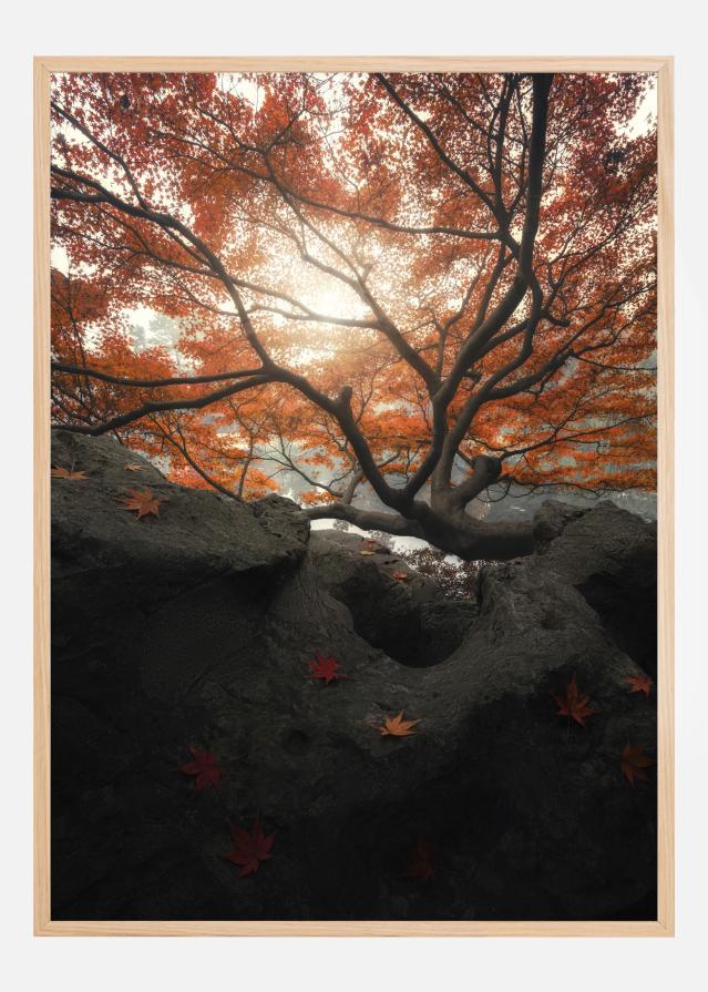Maple Plakāts