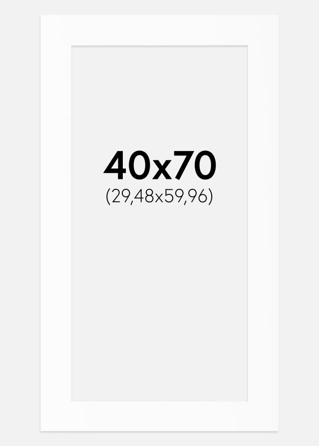 Paspartū Balts Standarts (Balts Kodols) 40x70 cm (29,48x59,96)