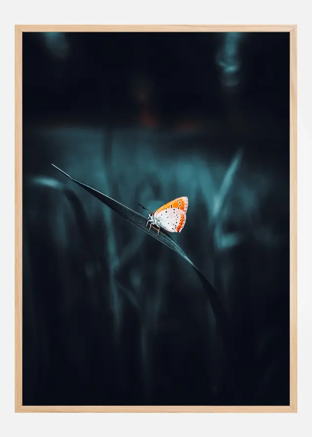 A Lonely Butterfly Plakāts