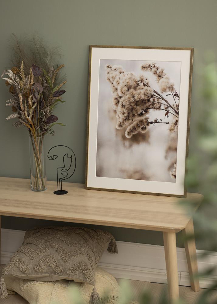 Rāmis Galant Akrila stikls Zelta 50x70 cm