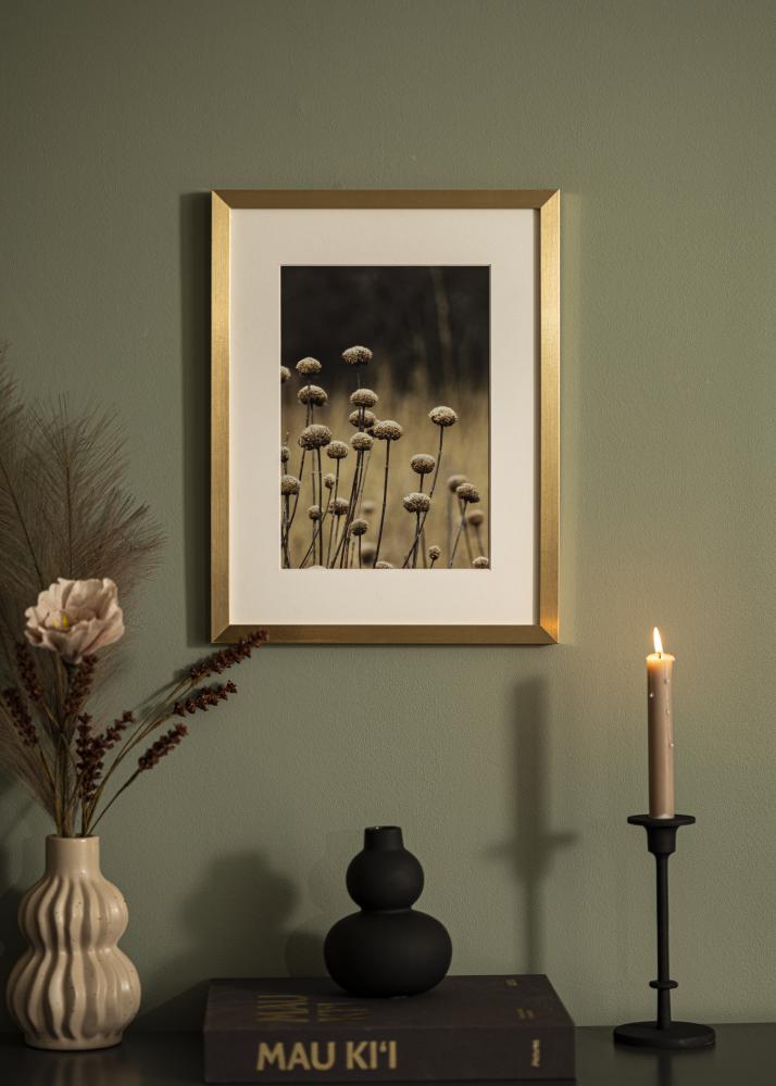 Rāmis Selection Akrila stikls Zelta 30x40 cm