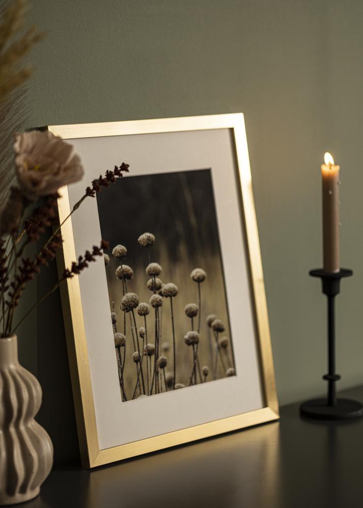 Rāmis Selection Akrila stikls Zelta 30x40 cm