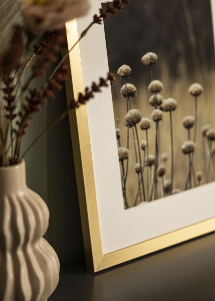 Rāmis Selection Akrila stikls Zelta 30x40 cm