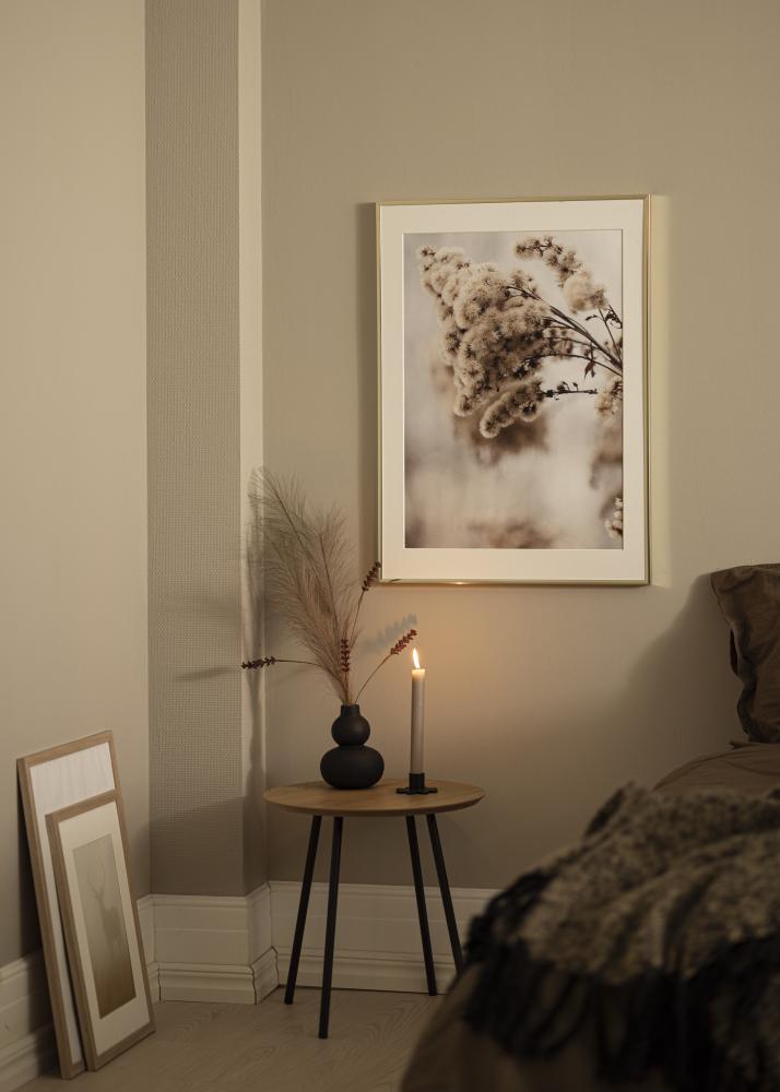 Rāmis Alumīnijs Akrila stikls Glansēts Zelts 21x29,7 cm (A4)