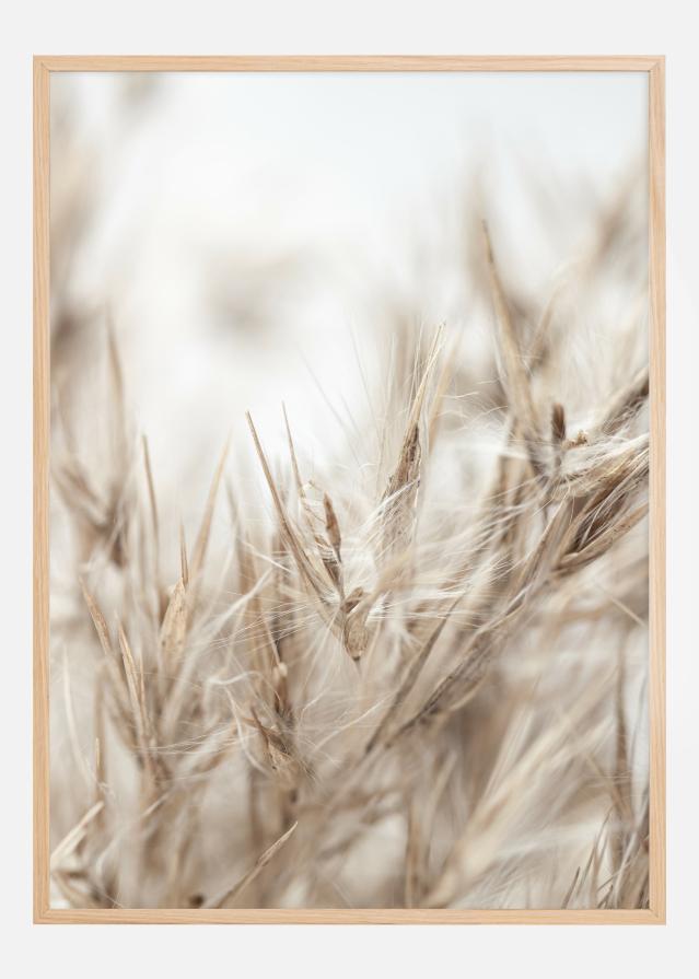 Dried Up ll Plakāts