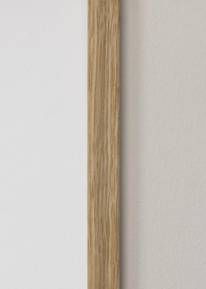 Rāmis Vemdalen Akrila stikls Ozols 14x24 cm