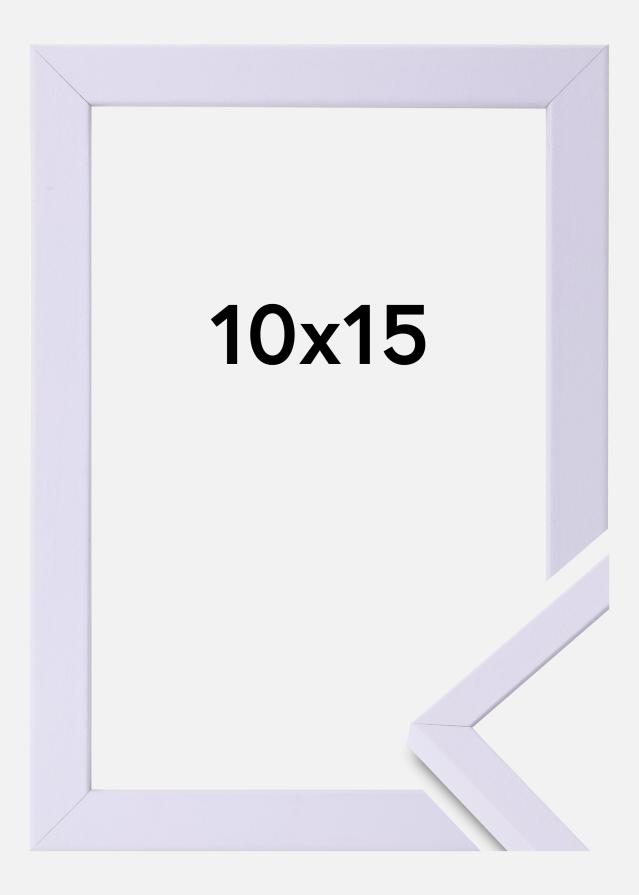 Colorful Akrila stikls Violets 10x15 cm