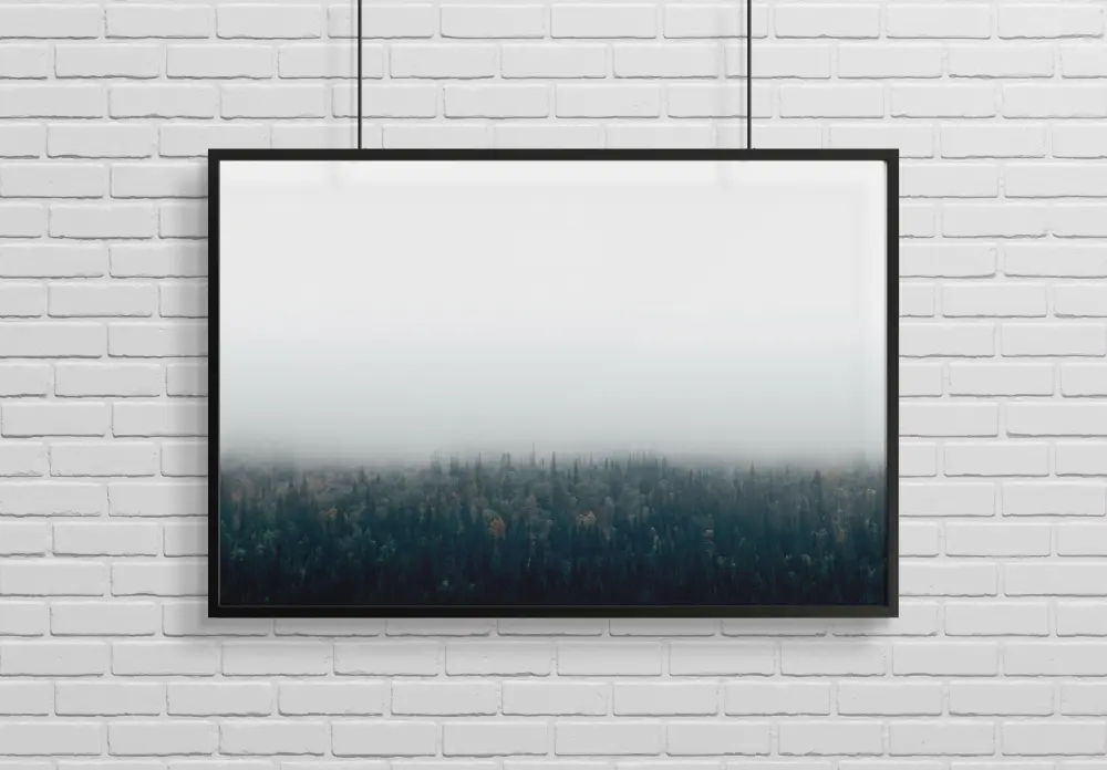 Forests in fog Plakāts