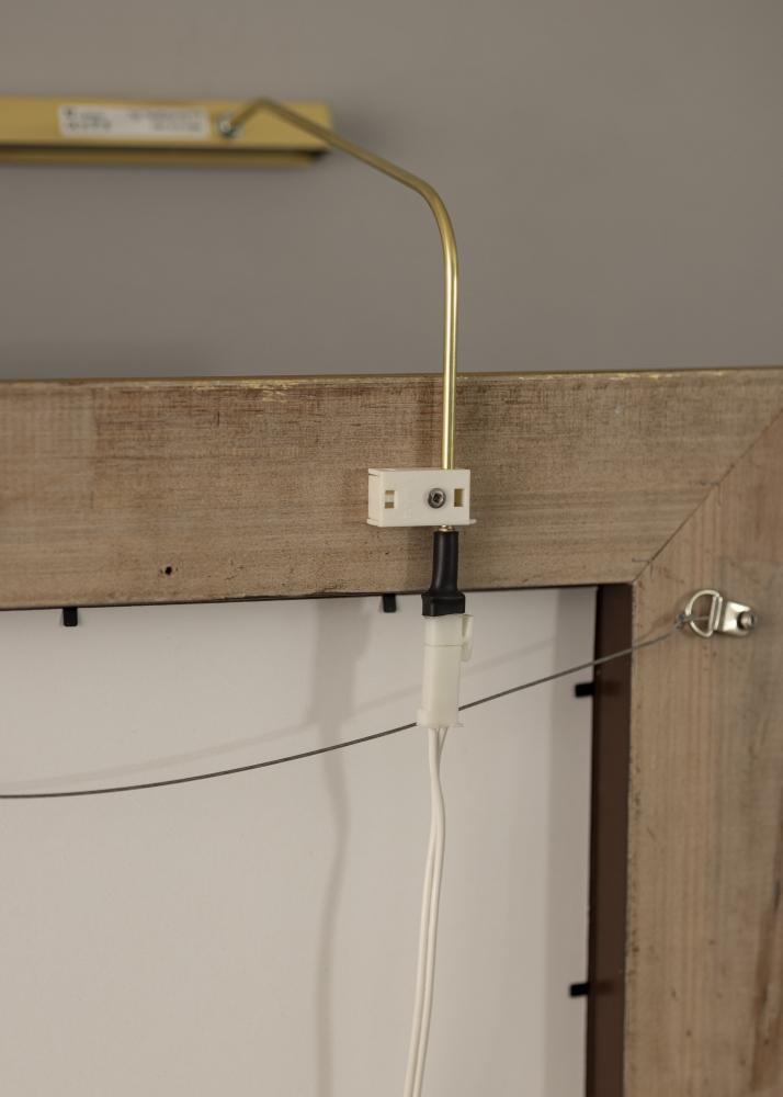 BLP 117 gleznu apgaismojums 25 cm - Zelta