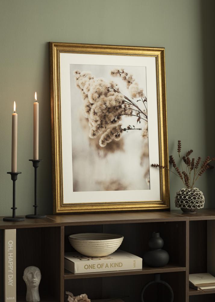 Rāmis Rokoko Akrila stikls Zelta 40x60 cm