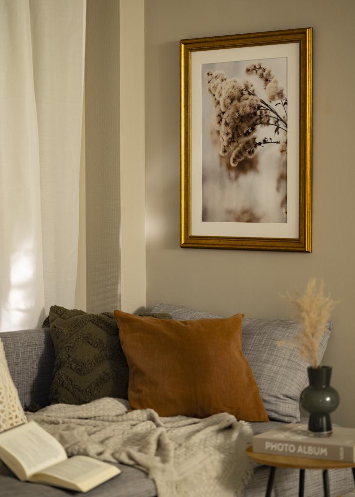 Rāmis Rokoko Akrila stikls Zelta 40x60 cm