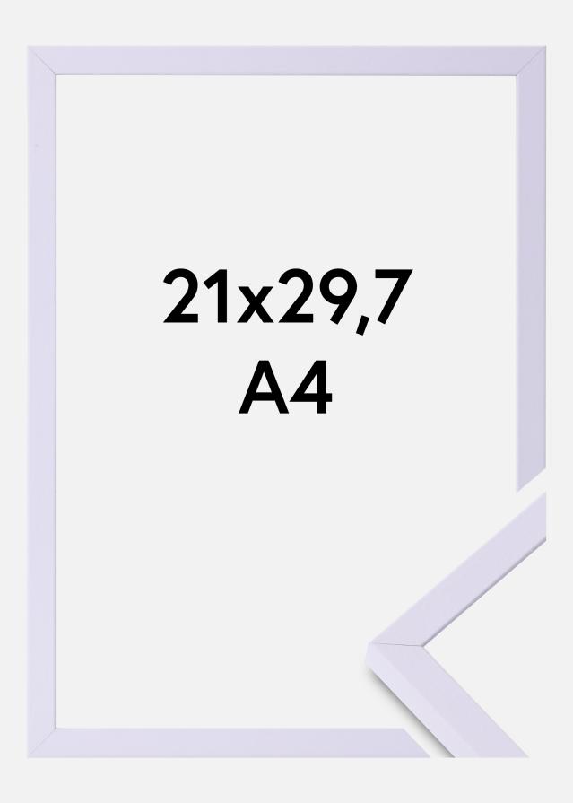 Colorful Akrila stikls Violets 21x29,7 cm (A4)