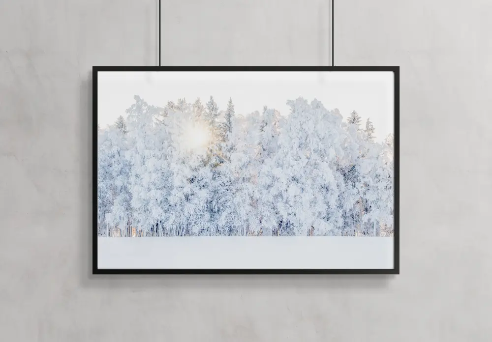 Winter light Plakāts