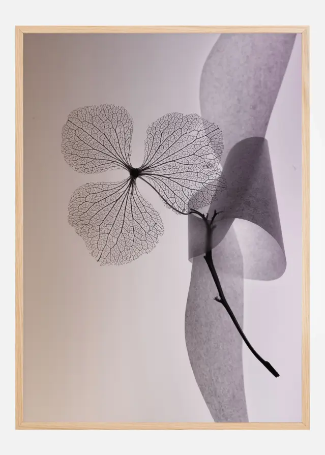 Flower Plakāts