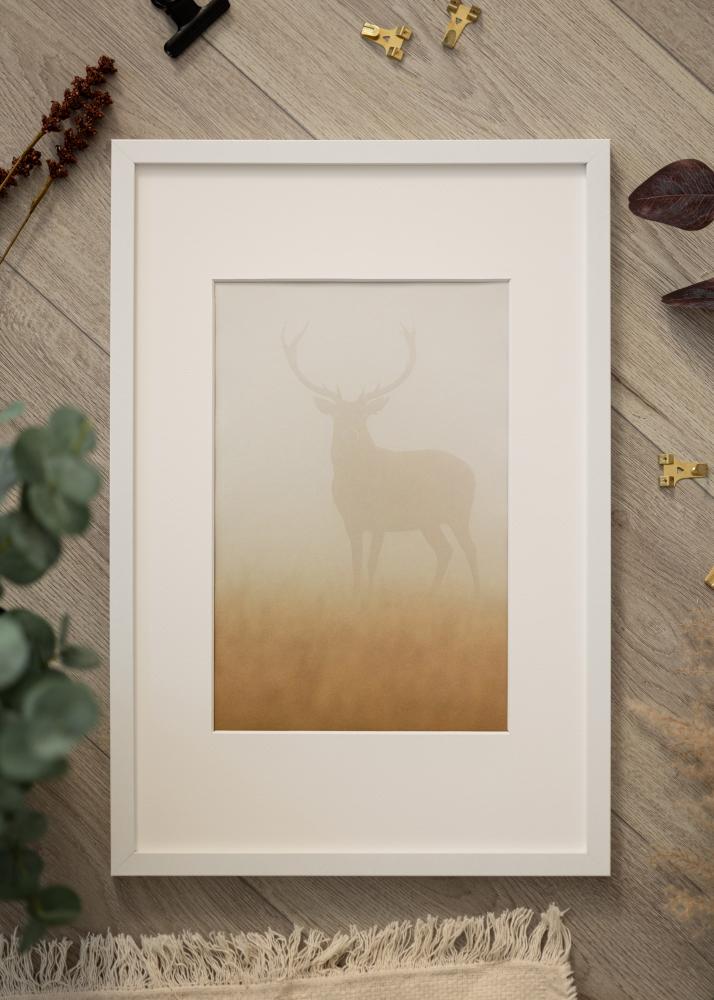 Rāmis Modern Akrila stikls Balts 30x45 cm