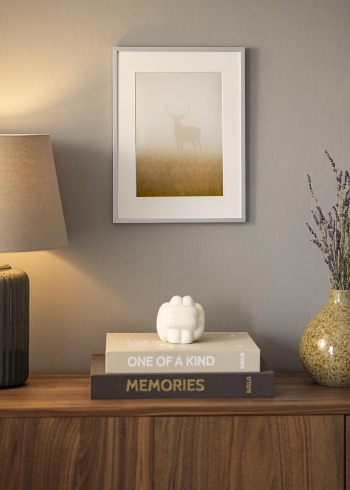 Spogulis Helsingfors Sudrabs - Savi izmēri