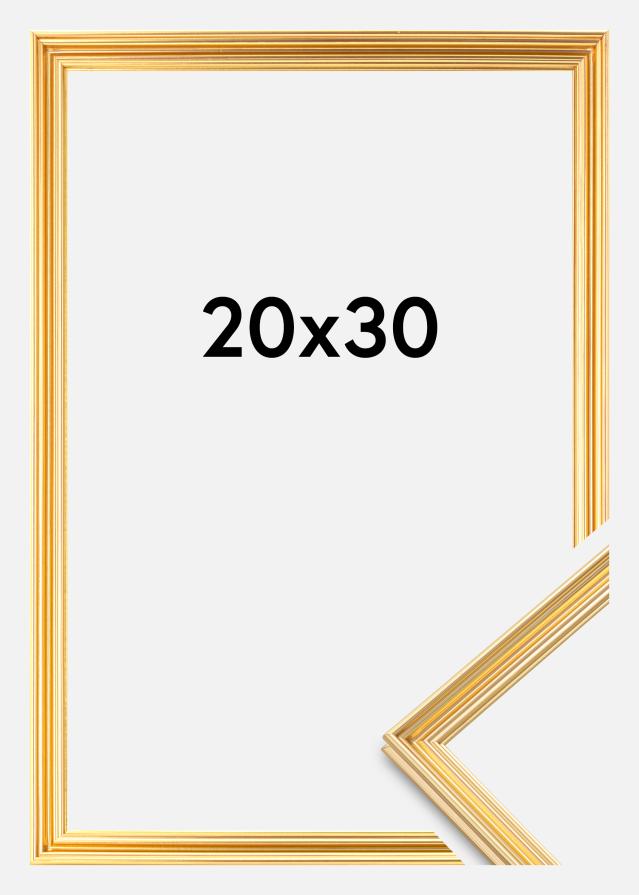 Rāmis Verona Zelta 20x30 cm