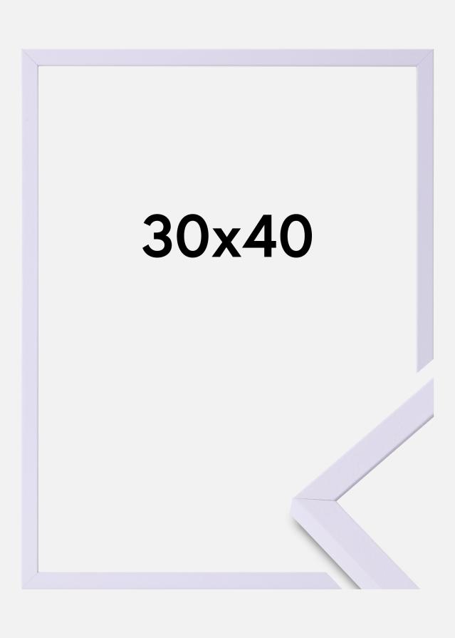 Colorful Akrila stikls Violets 30x40 cm