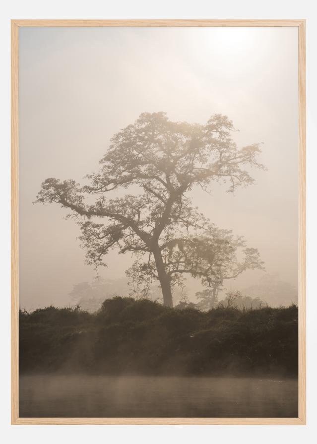 Misty Tree Plakāts