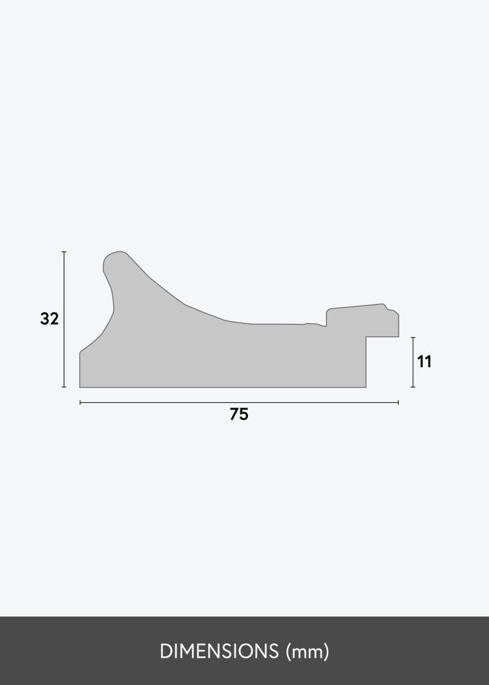 Rāmis Camden Zelta - Jebkurš izmērs