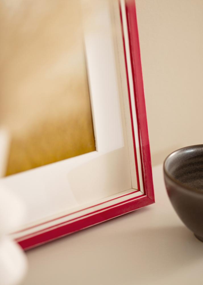 Rāmis Diana Akrila stikls Sarkans 45x60 cm