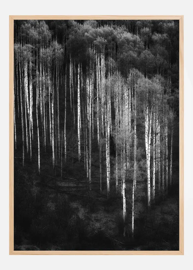 Forest Art Plakāts