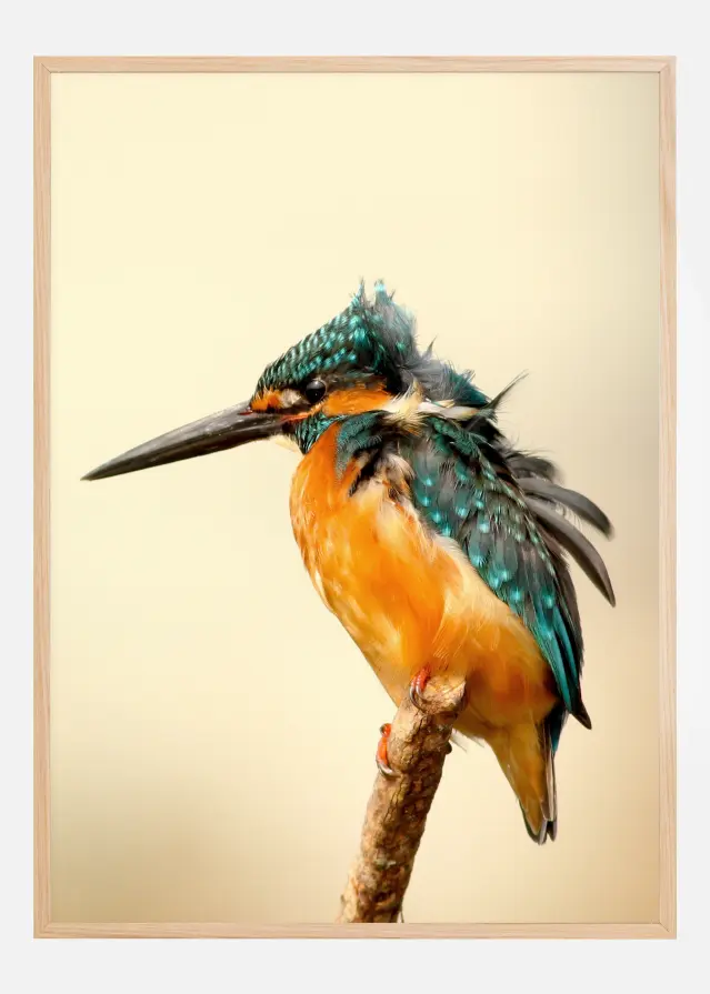 Bird On Tree Plakāts