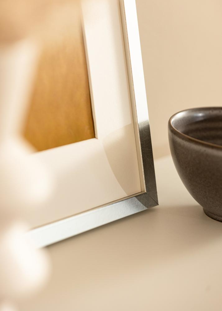 Rāmis Minerva Akrila stikls Sudrabs 50x60 cm