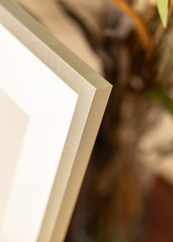 Rāmis Minerva Akrila stikls Sudrabs 50x60 cm