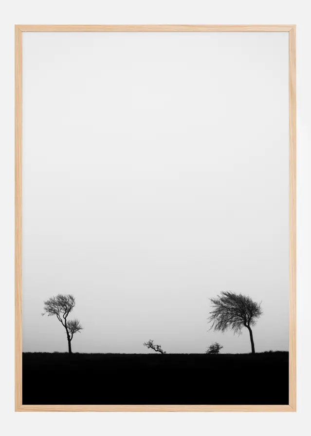 Storm Plakāts
