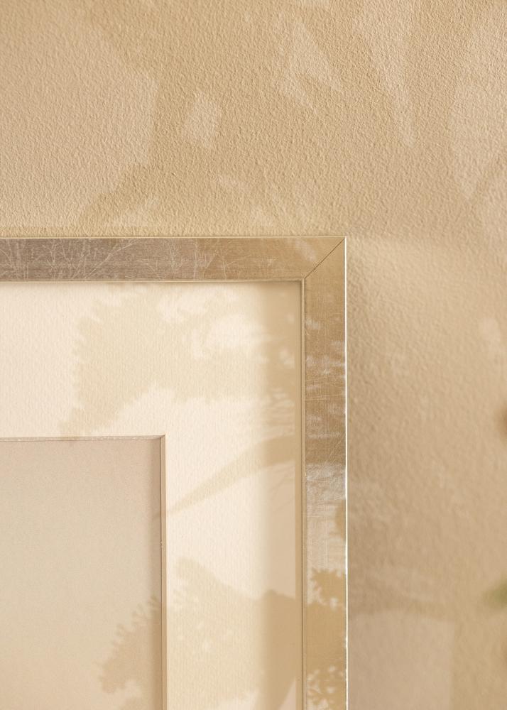 Rāmis Minerva Akrila stikls Sudrabs 50x60 cm