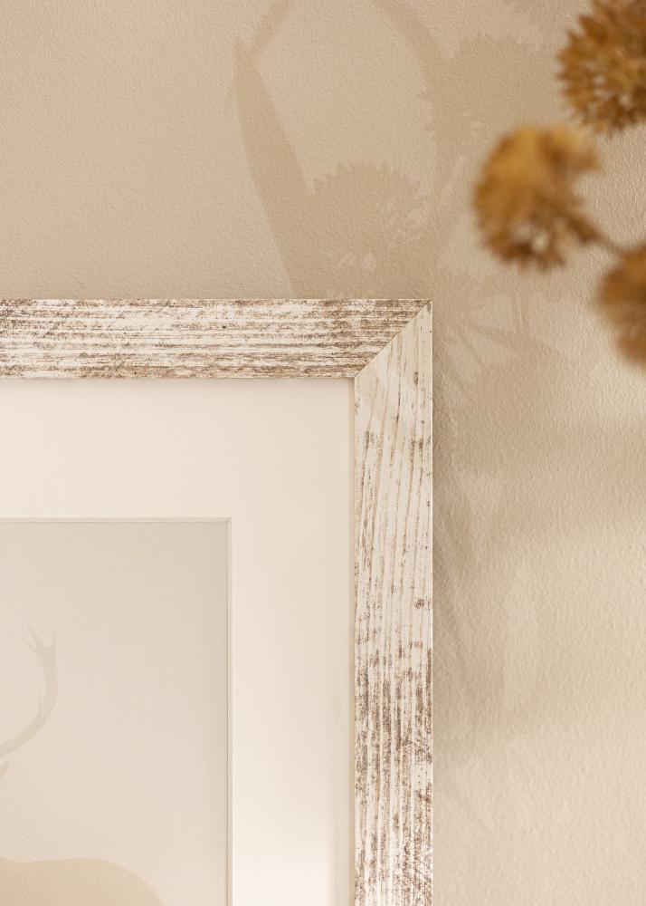 Rāmis Suberb AA 10x15 cm