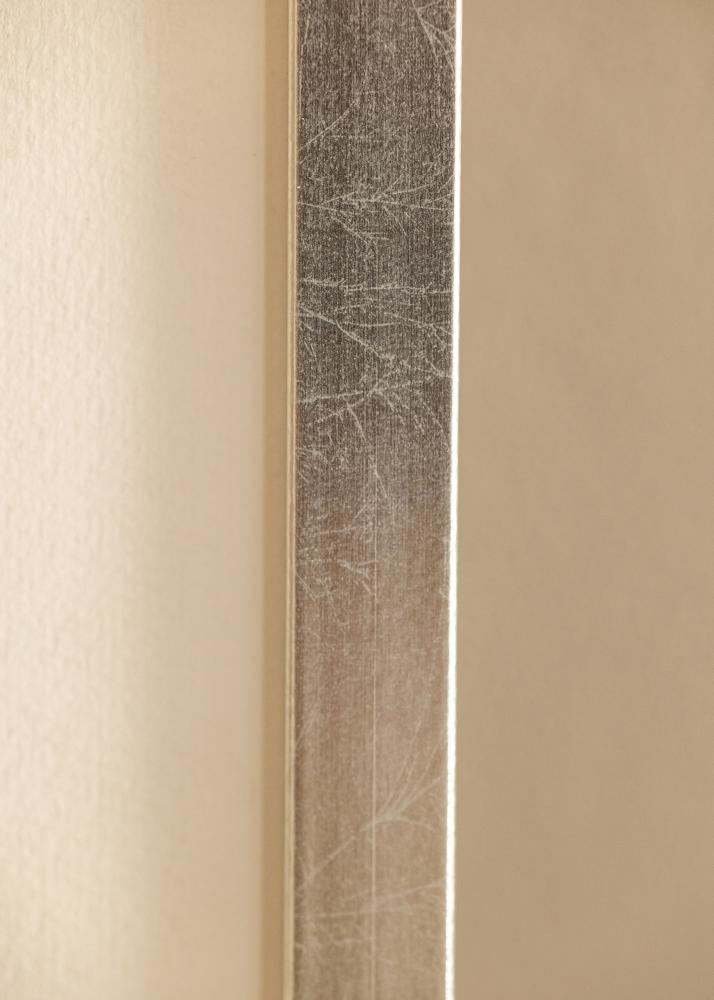 Rāmis Minerva Akrila stikls Sudrabs 50x60 cm