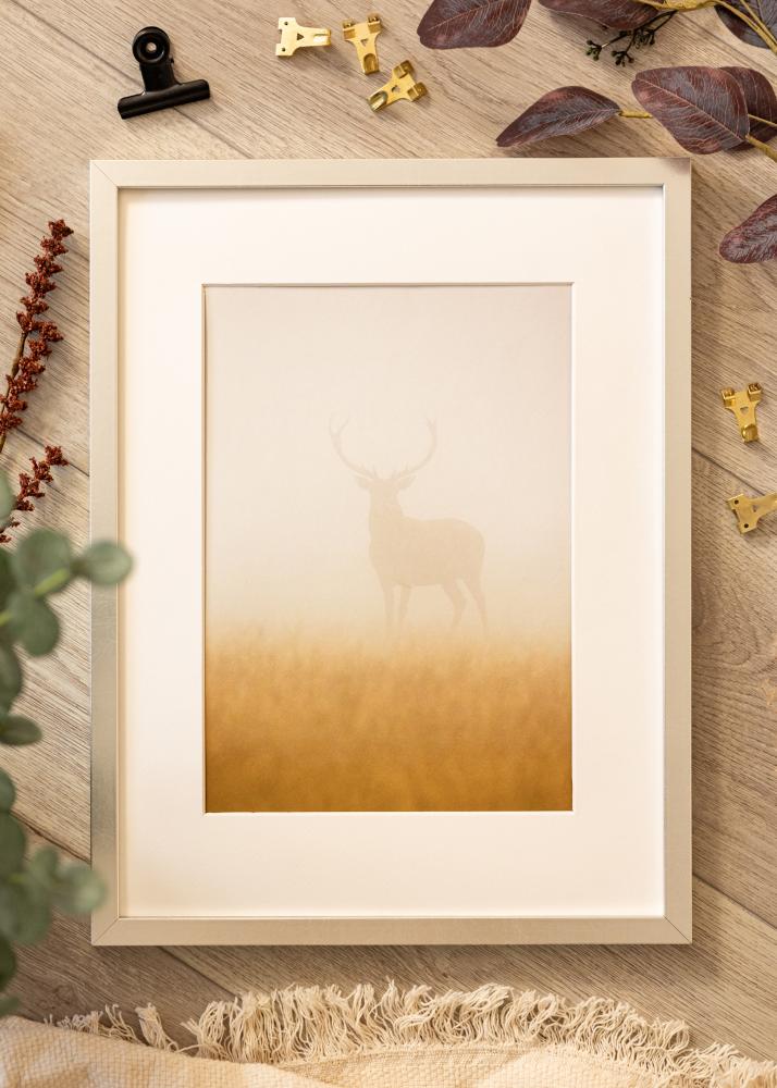 Rāmis Minerva Akrila stikls Sudrabs 50x60 cm