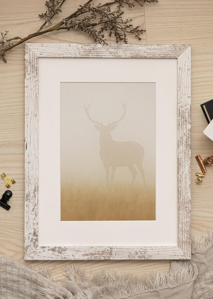 Rāmis Suberb AA 10x15 cm