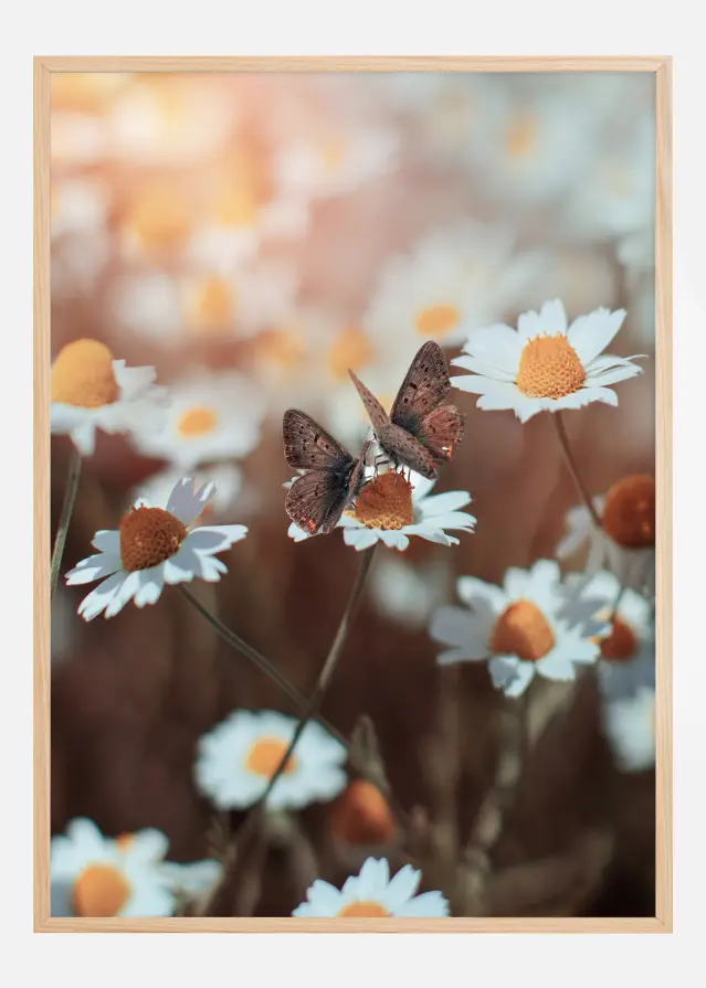 Two Butterflies Plakāts