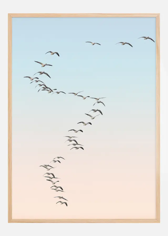 Fly away Plakāts