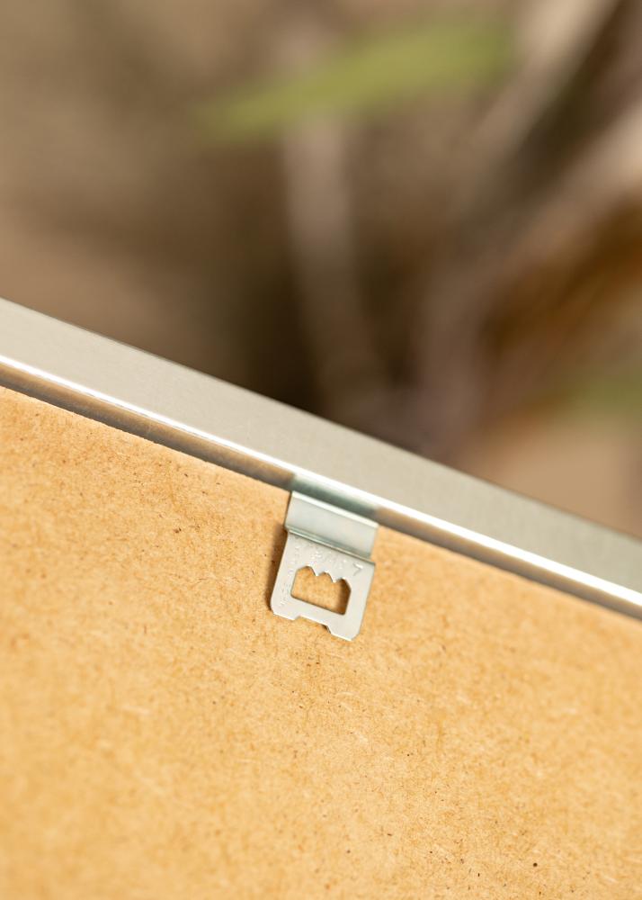 Rāmis Minerva Akrila stikls Sudrabs 50x60 cm