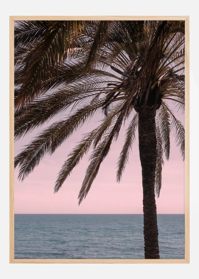 Palm Beach I Plakāts