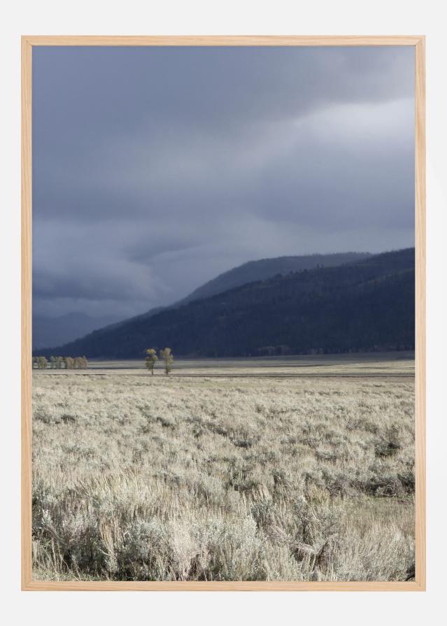 Storm Is Coming Plakāts