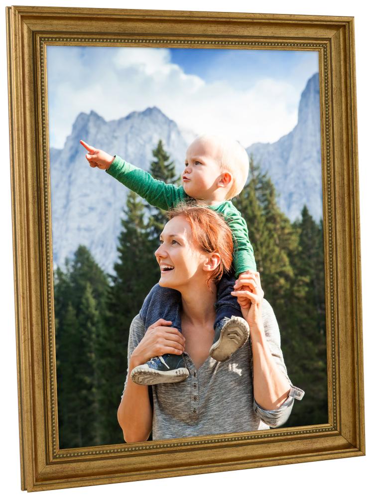 Rāmis Haga Zelta - Jebkurš izmērs