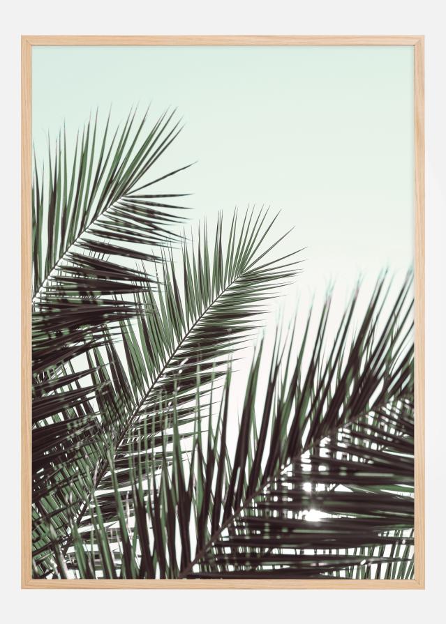 Palm leaves sky Plakāts