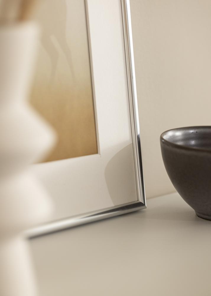 Rāmis Galeria Sudrabs 70x100 cm