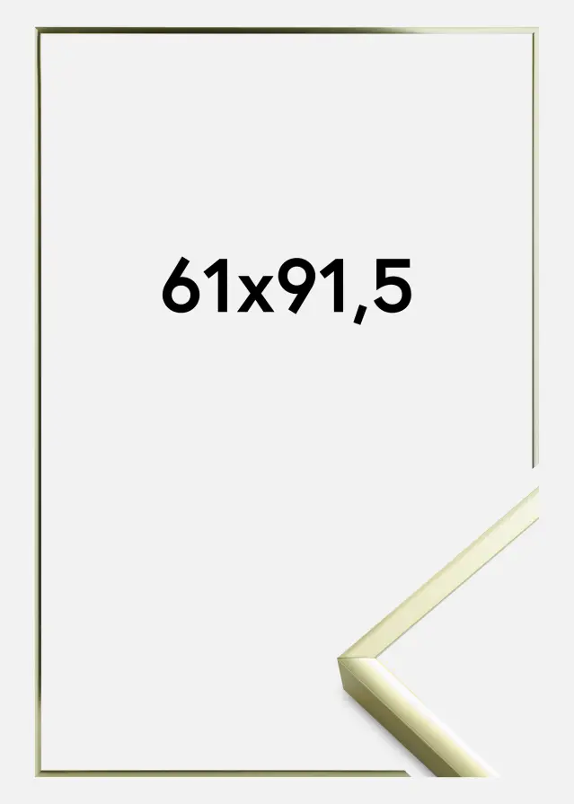 Rāmis Plakāts Frame Aluminum Akrila stikls Gold 61x91,5 cm