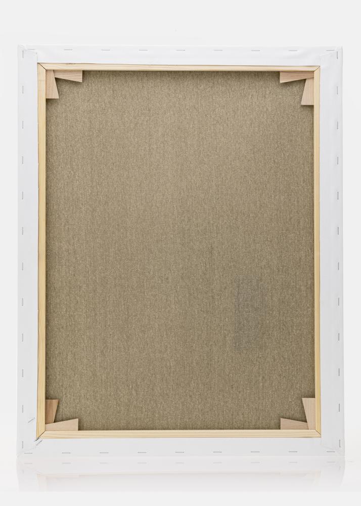 Audekls Premium Balts 40x50 cm