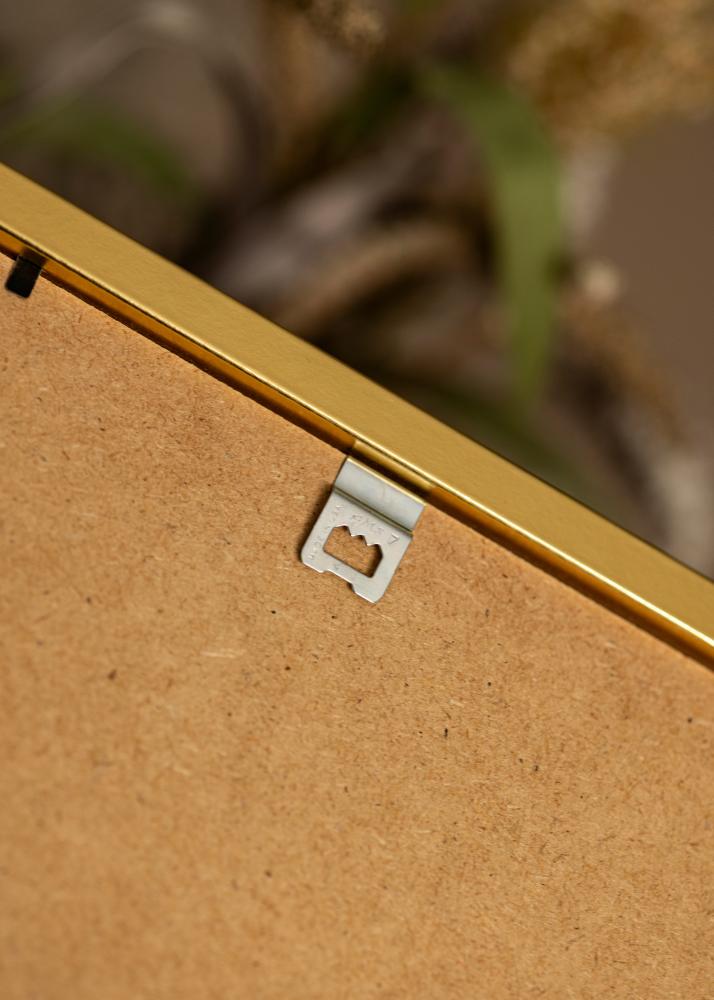 Rāmis Minerva Akrila stikls Zelta 50x70 cm