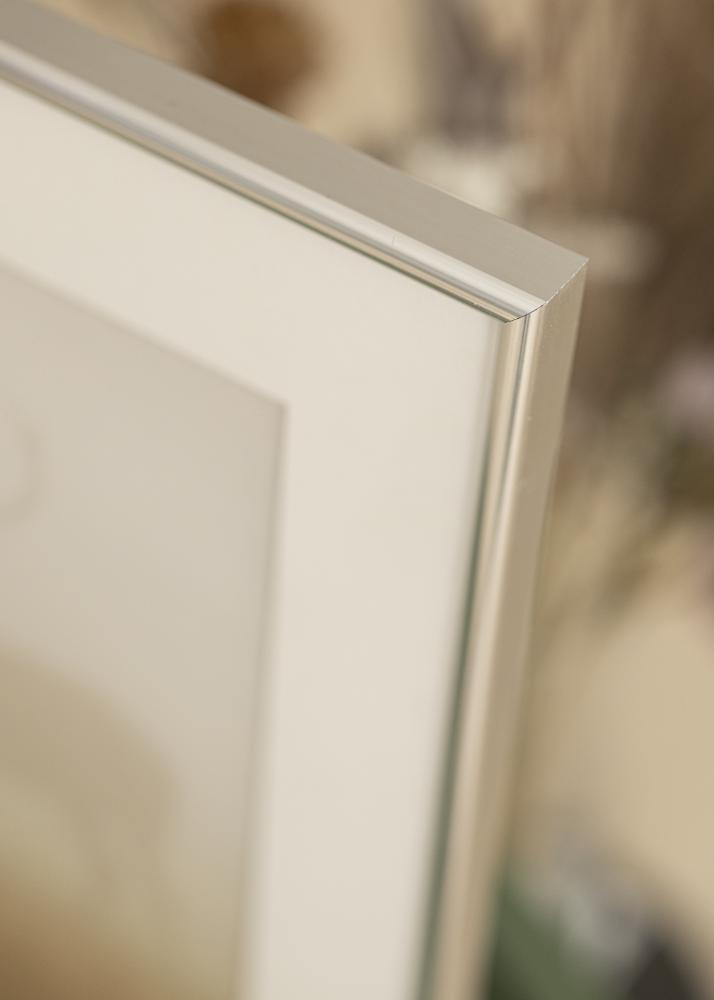 Rāmis Galeria Sudrabs 70x100 cm