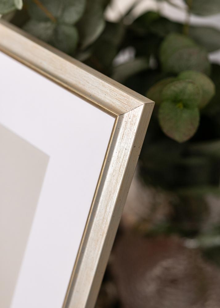 Rāmis Marisa Akrila stikls Sudrabs 20x30 cm